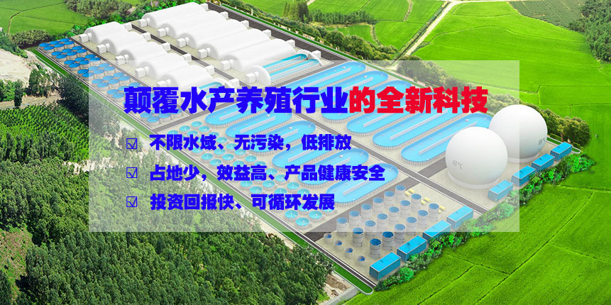 循環(huán)水養(yǎng)殖設(shè)備方案